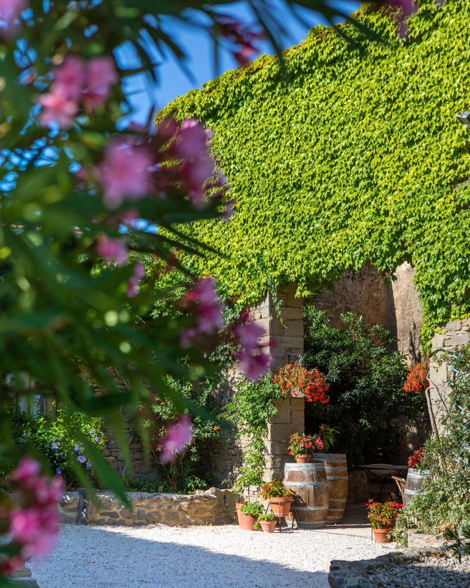 Domaine De Palats Vendégház Laure-Minervois Kültér fotó