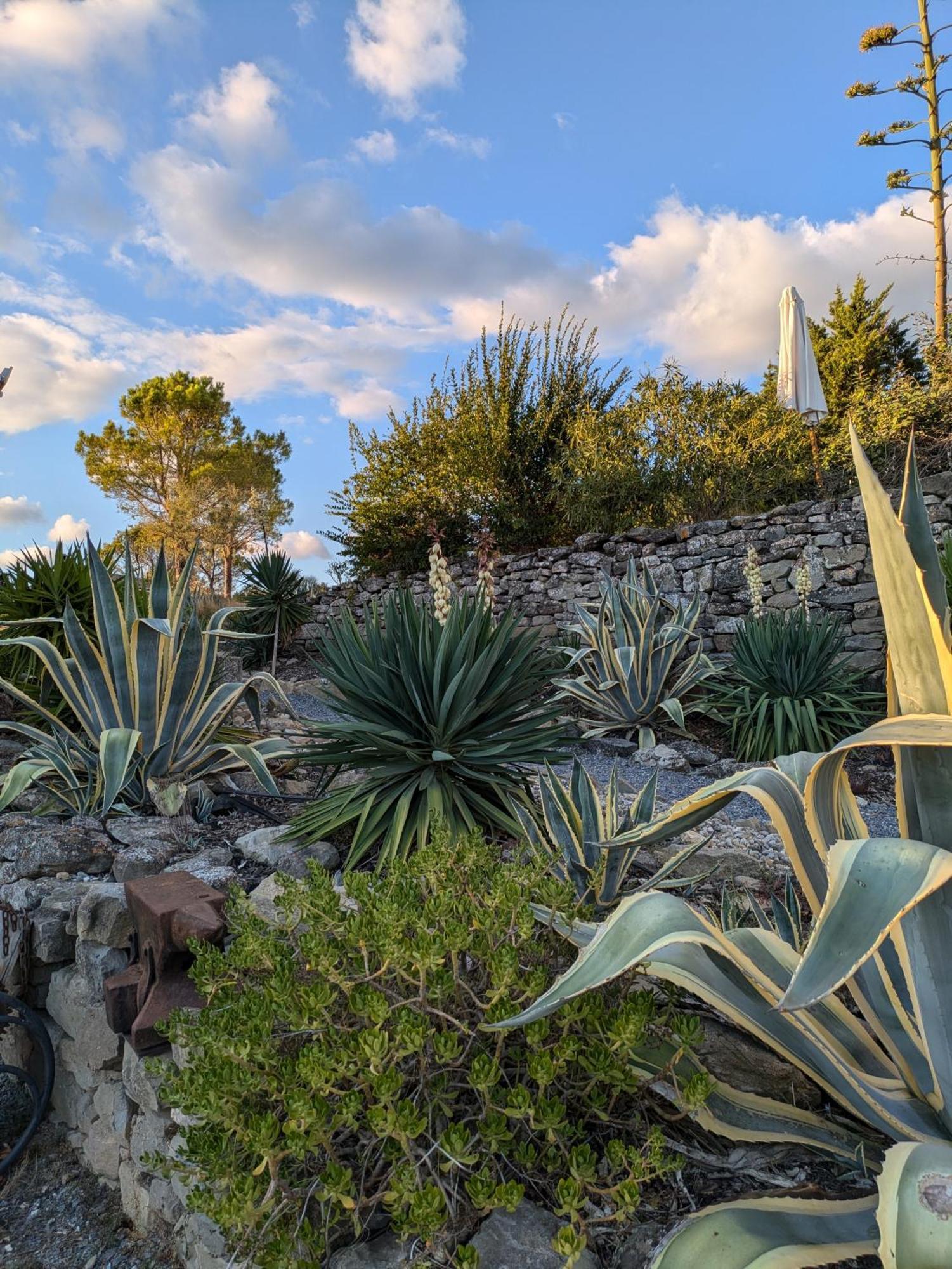 Domaine De Palats Vendégház Laure-Minervois Kültér fotó