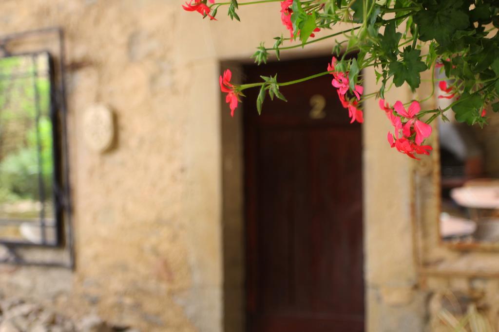 Domaine De Palats Vendégház Laure-Minervois Kültér fotó