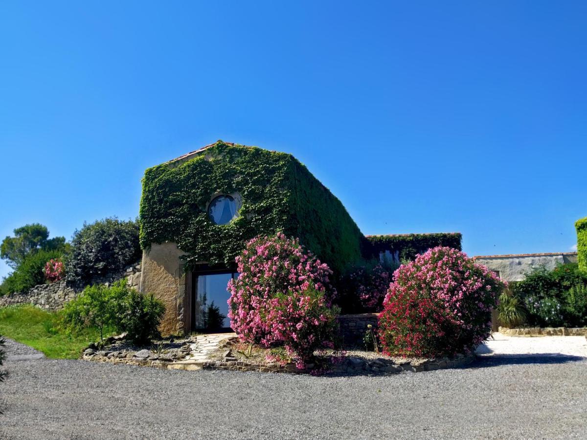 Domaine De Palats Vendégház Laure-Minervois Kültér fotó