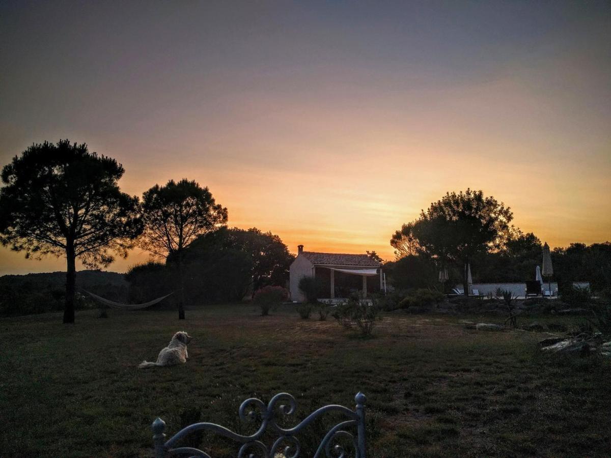 Domaine De Palats Vendégház Laure-Minervois Kültér fotó