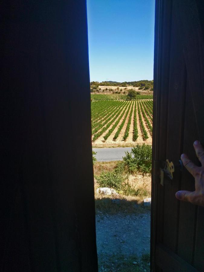 Domaine De Palats Vendégház Laure-Minervois Kültér fotó