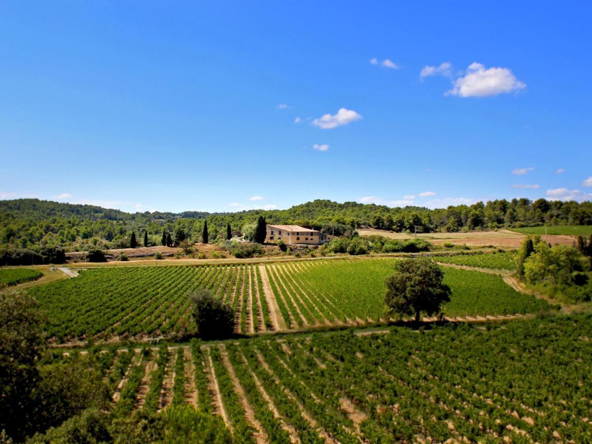 Domaine De Palats Vendégház Laure-Minervois Kültér fotó